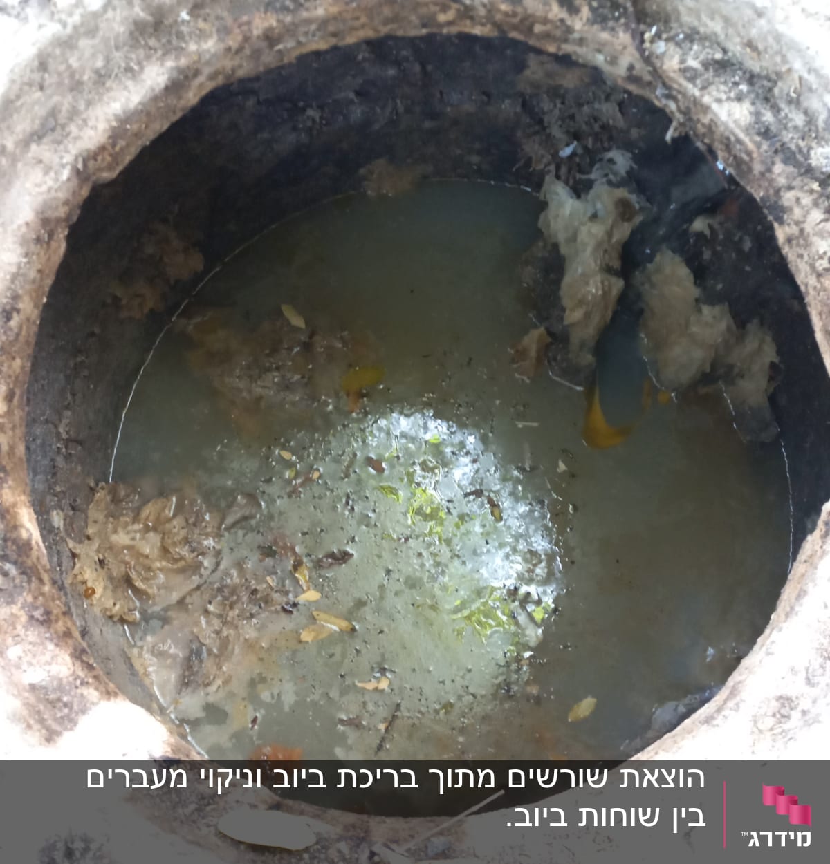 פתח ביוב עם מים מלוכלכים ופסולת